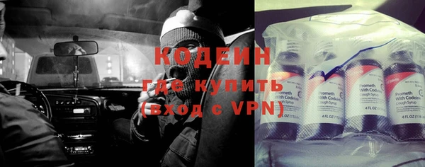 крисы Осинники