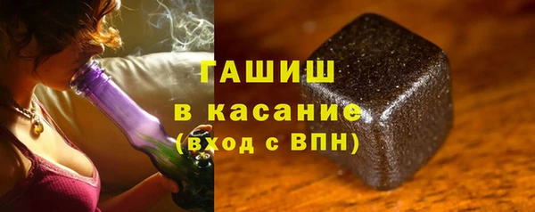индика Осташков