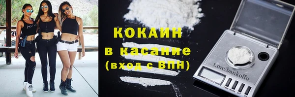 индика Осташков