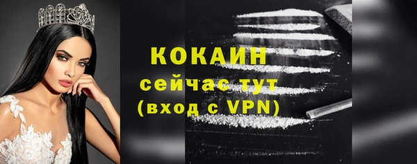 индика Осташков