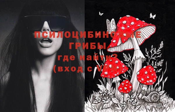 индика Осташков