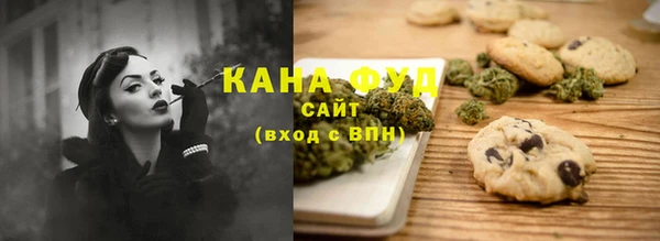 индика Осташков