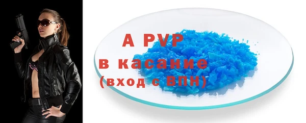 индика Осташков