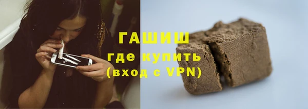 индика Осташков