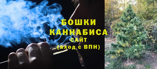 крисы Осинники