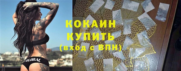 индика Осташков