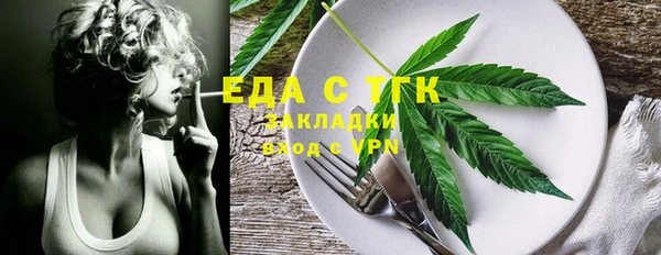 индика Осташков