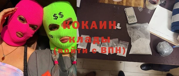 индика Осташков