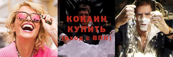 крисы Осинники