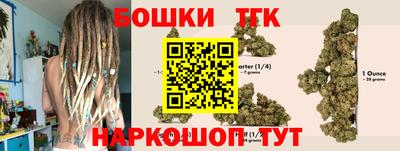 хмурый Дубна