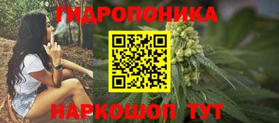 хмурый Дубна