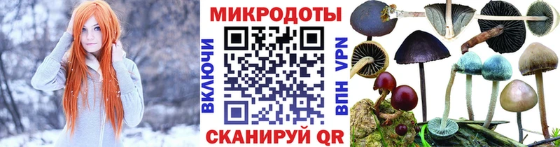Псилоцибиновые грибы прущие грибы  блэк спрут ссылка  Камышин 