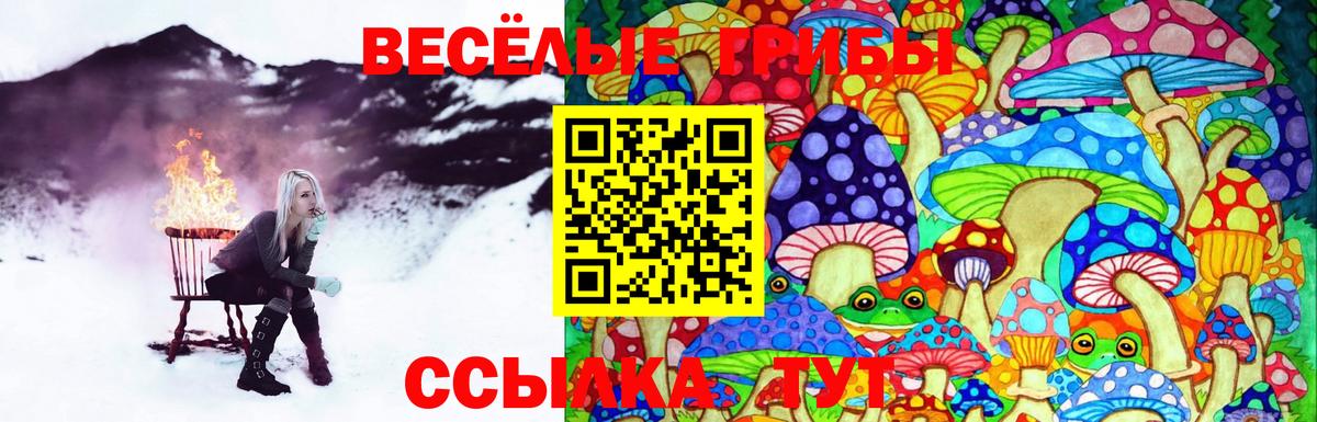 Камышин  Псилоцибиновые грибы Cubensis  Псилоцибиновые грибы GOLDEN TEACHER  Вход с VPN 